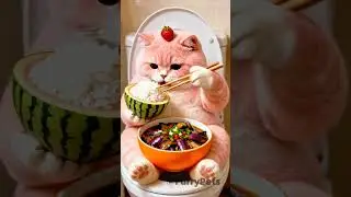 pinky Eating bingan with rice ❤️🤣🤣#furrypets #cute #funny #animals #pets #cat #ytshort #shorts