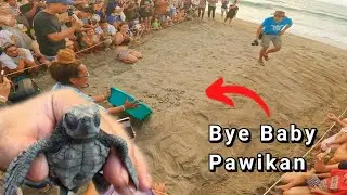 Releasing of baby Pawikan by CURMA @ Urbiztondo, San Juan La Union