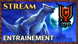 Entrainement TCT CUP N&deg;3 | Stream/Live | MH Rise Sunbreak