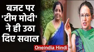 PM Modi की आर्थिक सलाहकार परिषद की सदस्य ने Budget 2020 को बताया निराशाजनक | वनइंडिया हिंदी