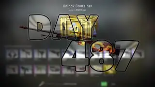 HUNTING AWP WILDFIRE - DAY 487