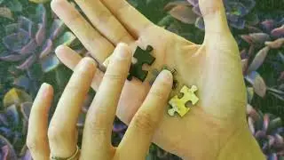 The HARDEST Puzzle Review - BetterCo's Purple Succulents