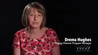 Dynamic Pricing Case Study: Tampa Electric