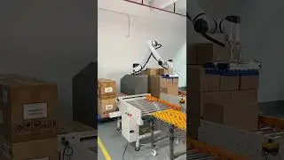 palletizer！#cobot #robot #palletizer