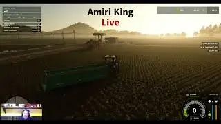 Amiri Kings Farm