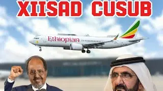 DEGDEG: Dowladda oo lawareegtay Hubkii Imaaraatka ee Soomaliya yaalay.