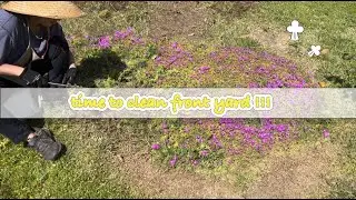 Spring into action#time  to clean the front yard and welcome the new season #FrontYard #springvibes