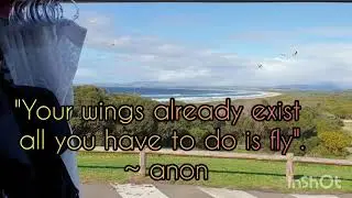#vanlife during lockdown: Jealous of Birds #vanlifejournal #vanlifeaustralia