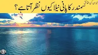 Why Ocean Water Looks Blue | Why Is The Ocean Blue | No Way