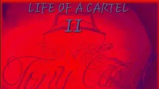 LIFE OF A CARTEL II