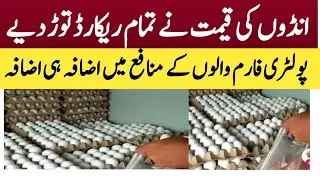 Eggs Today Price/Eggs Latest Price today/Eggs Rate today/17.01.2027