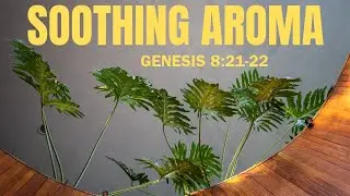 Soothing Aroma - Genesis 8:21-22 NKJV