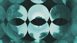 Garden Games 花园游戏。