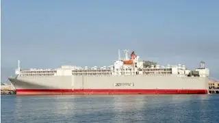 Cattle Ship Feared Lost Off Japan In Storm, One Crew Member Rescued