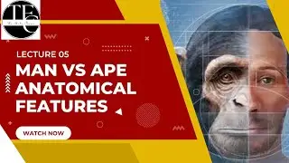 Lecture 05 : Anthropology ( Comparative Anatomical features of Man and Ape)