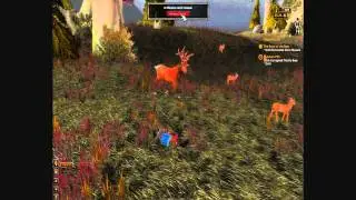 WoW Death Animations