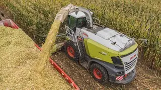 Nov&yacute; CLAAS Jaguar 950 v JTZE při sklizni sil&aacute;žn&iacute; kukuřice