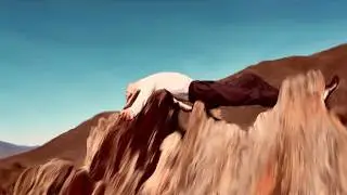 Freedom's Sorry Song - Po&egrave;m Franz&eacute;n (Official Music Video)