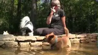 Raising Cane's Dog Park at Kiroli West Monroe LA