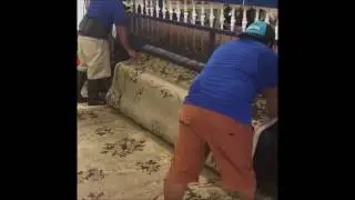 Looking for A Professional Iranian Oriental Rug Cleaning Service in Miami