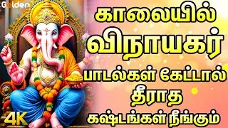 புதன்கிழமை காலையில் விநாயகர் பாடல்கள் கேட்டால் தீராத கஷ்டங்கள் நீங்கும் | Special Pillaiyar Padalgal