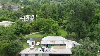 Aliot murree
