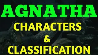 Agnatha Characters & Classification of Agnatha, Biological Classification, Ostracodermi Cyclostomata