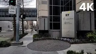 Peaceful stroll through the city with beautiful ambience and music (City Walk Visualizer)