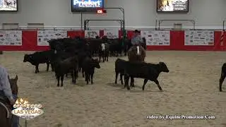 Brother Jackson ridden by Zane P. Davis  - 2019 NRCHA Stallion Stakes (Herd Work, Open Bridle Spec.)