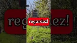 Parc Thomas-Chapais ce 10 mai 2025.
