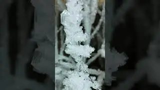 Царство вечной мерзлоты|Оймякон #якутия #саха #лед #снежинки #оймякон #ice