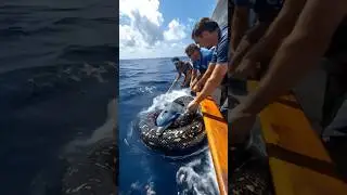 Snatched by the Sea Serpent: A Desperate Fight for Survival
