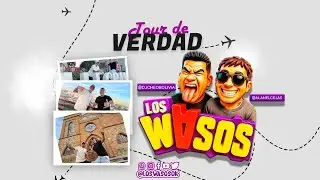 LOS WASOS