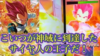 【赤髪のベジータ】そんなに怖いか？ダイバーズが❤️‍🔥