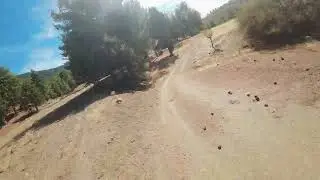 Dji avata aggresive flight  and  CRASH !!