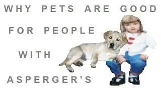Why Pets Are Good For People With Autism