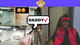 Приложение Late Night Monkey стало странным