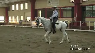 ARTE EQUESTRE TV - SINIBALDI FRANCESCO - DOMATI - FINALE CAMPIONATO ITALIANO 2023