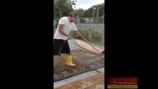 Fort Lauderdale Rug Cleaning Service