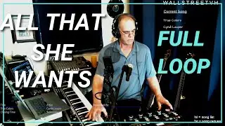 Live Loop - All That She Wants (Ace of Base cover)