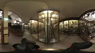 360º tour Missie Museum (NL)