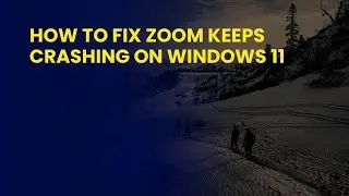 How to Fix Zoom Keeps Crashing On Windows 11