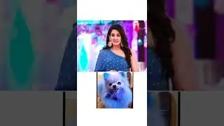 shemaroo umang all serial list #serial #actress #shemaroo