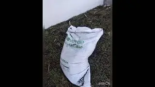 #arropa el #cesped de tu #jardin... con los mejores #sigueme #saltillo #jardinero