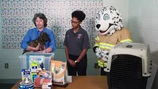 72 Hour Emergency Kit for Pets