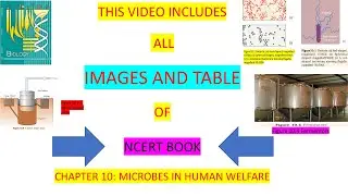 class 12 biology chapter 10 | MICROBES IN HUMAN WELFARE | ncert all images | quick revision for NEET