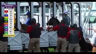 The 2025 500,000 Summer Stakes Grade I
