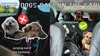 HOW TO KEEP PETS SAFE IN THE CAR! | Testing Amazon Basics Adjustable Dog Car Barrier 2023!
