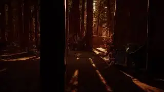 Video Game Ambience Asmr- (Life is Strange 2) Acoustic Guitar & Nature Sounds | Cassidy Plays Guitar