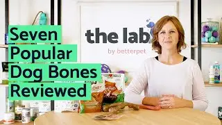 Best Dog Bones | 2022 Review by Betterpet